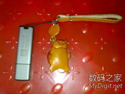 數(shù)字產(chǎn)品技術(shù)交流 構(gòu)建開發(fā)者生態(tài)的關(guān)鍵平臺(tái)